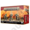 Kép 1/4 - Sylvaneth: Kurnoth Hunters