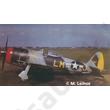 Revell 1:72 P-47M Thunderbolt SET Revell 1:72 P-47M Thunderbolt SET